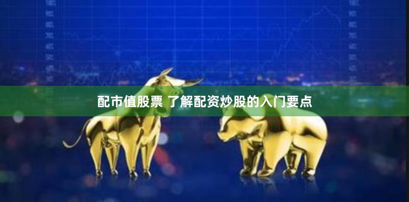 配市值股票 了解配资炒股的入门要点