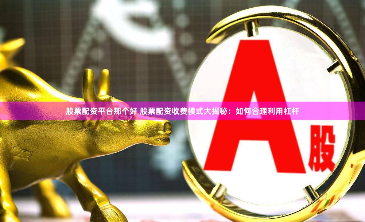 股票配资平台那个好 股票配资收费模式大揭秘：如何合理利用杠杆