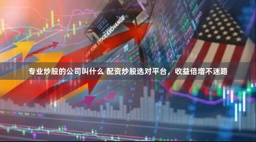 专业炒股的公司叫什么 配资炒股选对平台，收益倍增不迷路